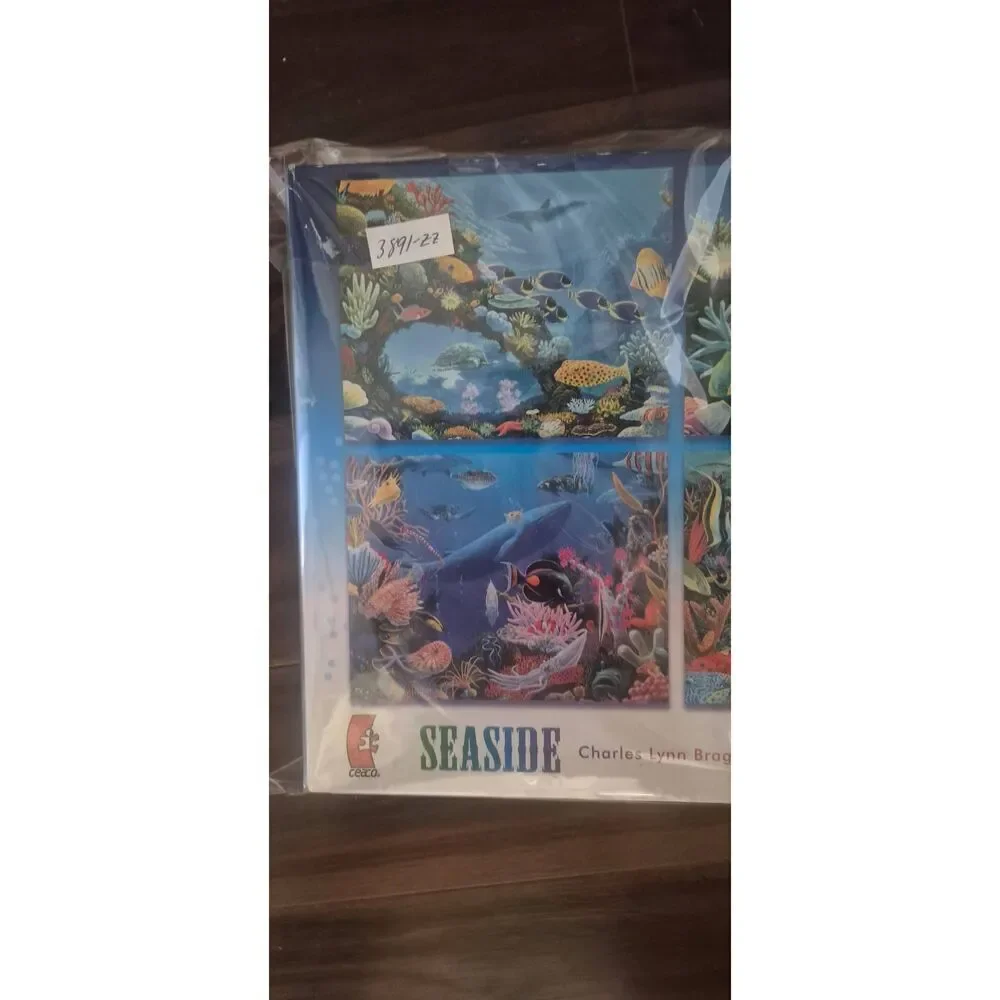 Ceaco Seaside by Charles Lynn Bragg 500 pc Jigsaw Puzzle NEW
